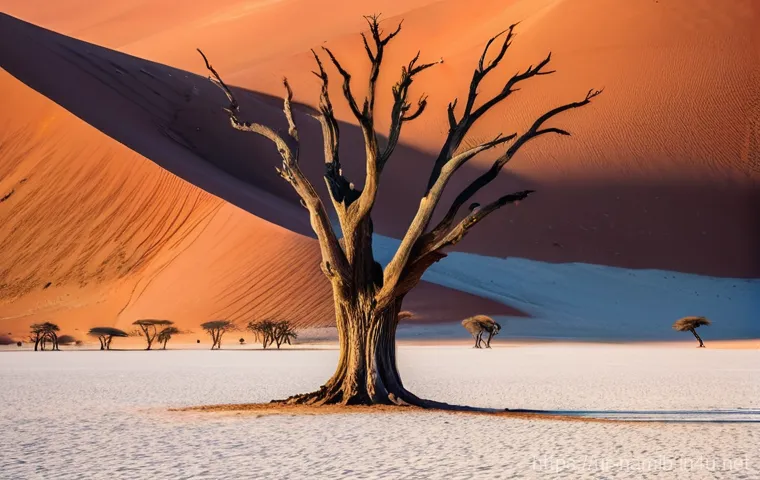 나미비아 자연과 환경 - **Sossusvlei's Ancient Mystery at Dawn:**
A wide, breathtaking shot of Sossusvlei in the Namib D...