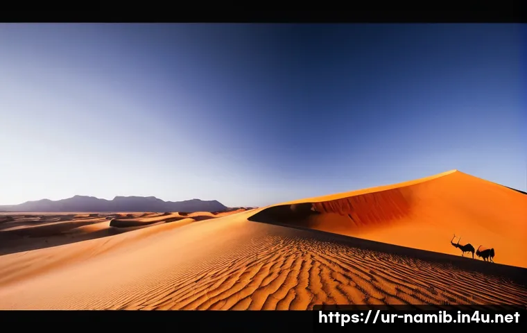 나미비아 사파리 투어 추천 - **Prompt:** A breathtaking wide-angle view of the Sossusvlei sand dunes in Namibia at sunrise. The m...